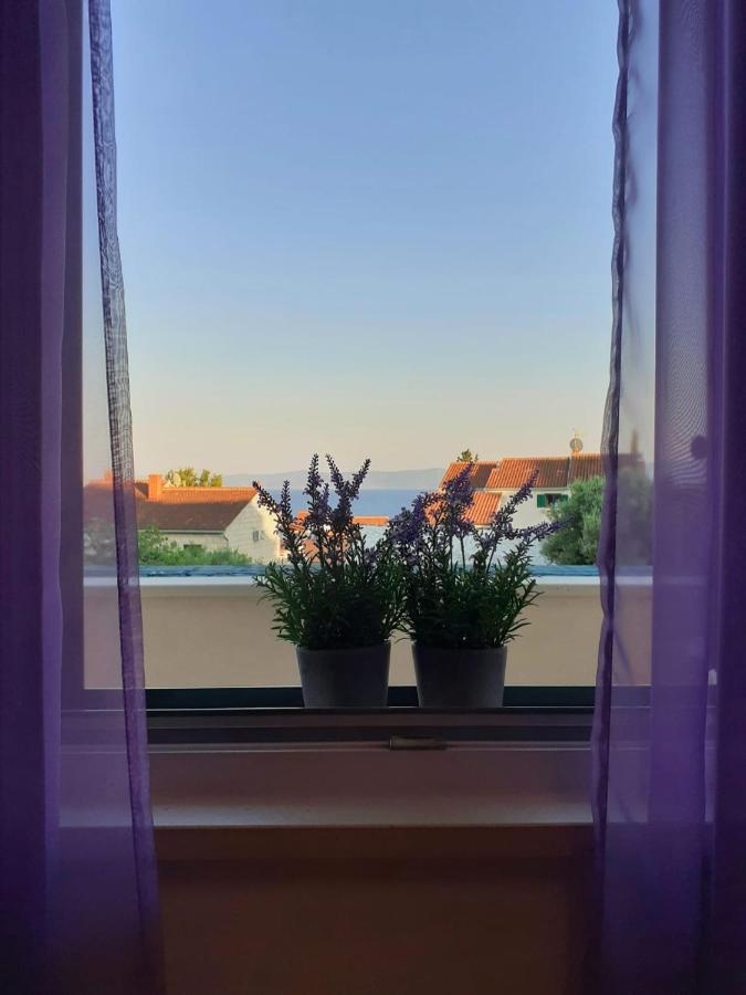 Apartments Borovina 볼 외부 사진