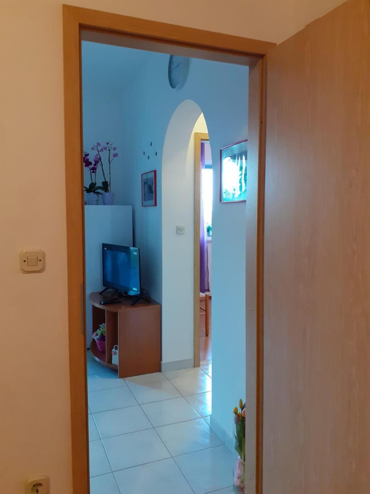 Apartments Borovina 볼 객실 사진