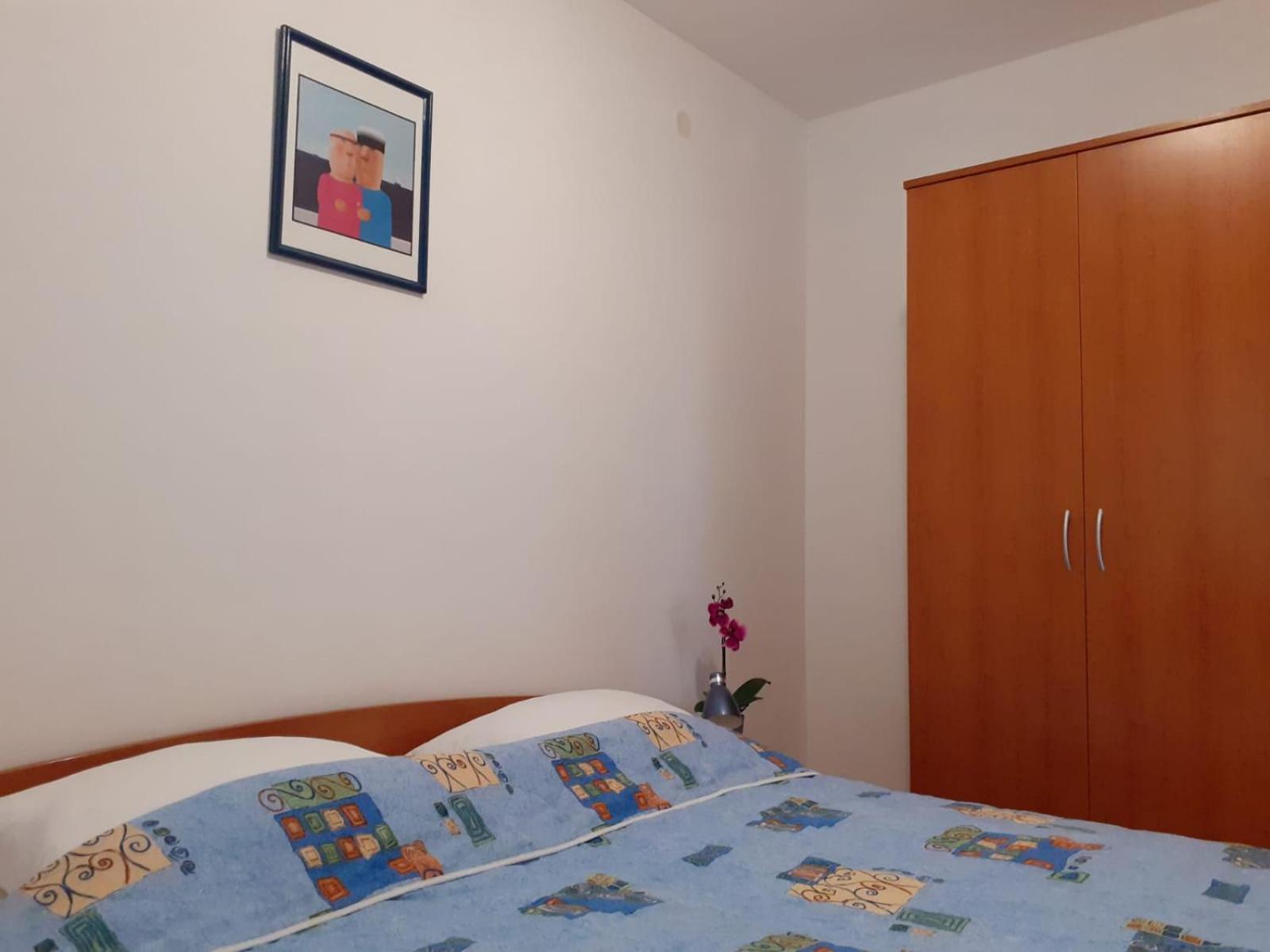 Apartments Borovina 볼 객실 사진