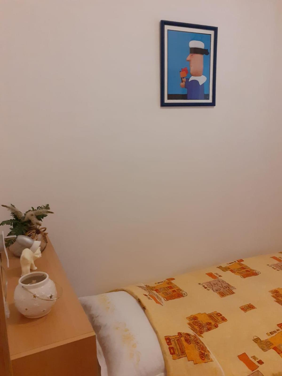 Apartments Borovina 볼 객실 사진