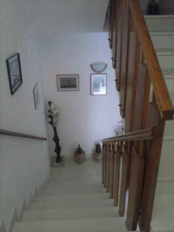 Apartments Borovina 볼 외부 사진